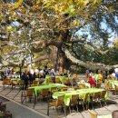 Çınaraltı Şelale Et Mangal Çay Bahçesi